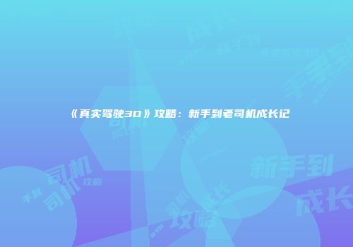 《真实驾驶3D》攻略：新手到老司机成长记