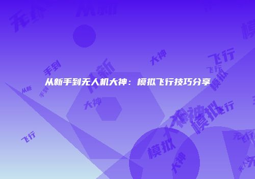 从新手到无人机大神：模拟飞行技巧分享