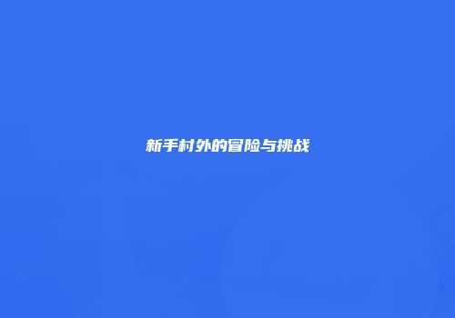 新手村外的冒险与挑战