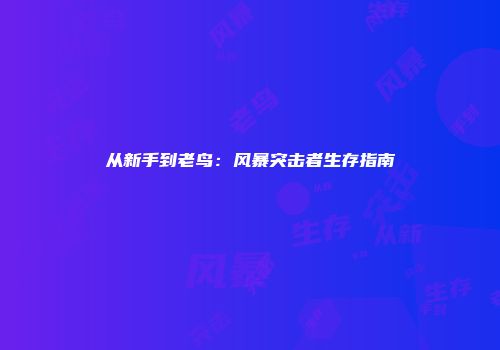 从新手到老鸟：风暴突击者生存指南