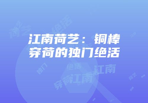 江南荷艺：铜棒穿荷的独门绝活