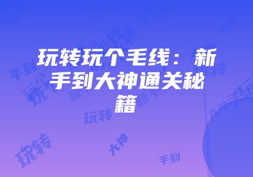 玩转玩个毛线：新手到大神通关秘籍