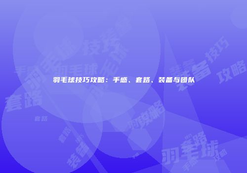 羽毛球技巧攻略：手感、套路、装备与团队