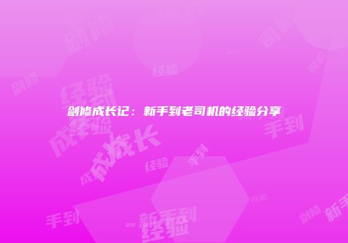 剑修成长记：新手到老司机的经验分享