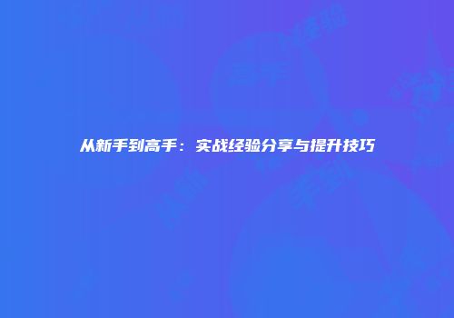 从新手到高手：实战经验分享与提升技巧