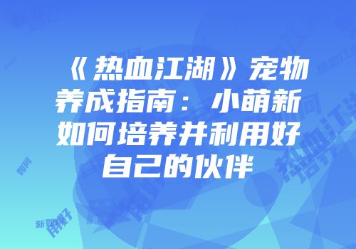 《热血江湖》宠物养成指南：小萌新如何培养并利用好自己的伙伴