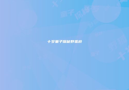 十岁童子探秘野狐岭