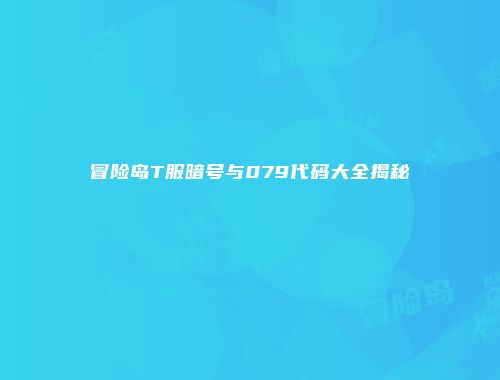 冒险岛T服暗号与079代码大全揭秘