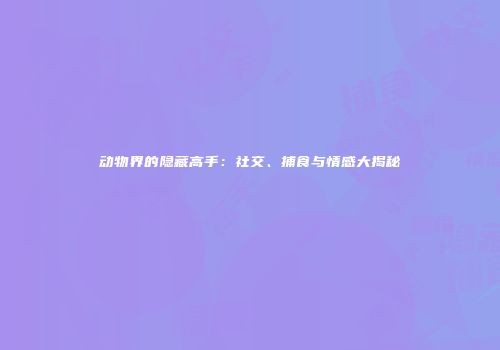 动物界的隐藏高手：社交、捕食与情感大揭秘