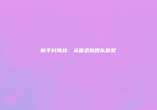 新手村挑战：从困惑到团队默契