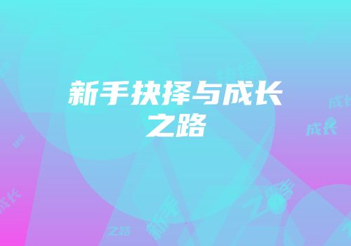 新手抉择与成长之路