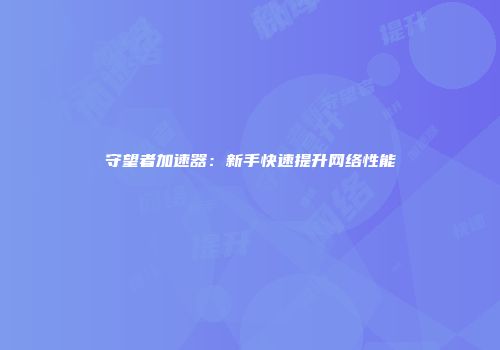 守望者加速器：新手快速提升网络性能