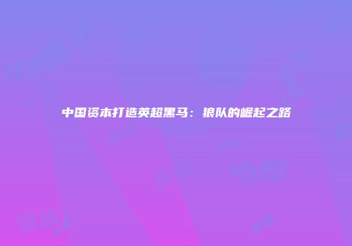 中国资本打造英超黑马：狼队的崛起之路