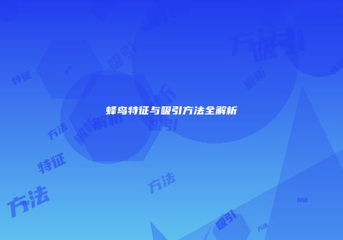 蜂鸟特征与吸引方法全解析