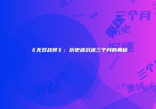 《无双战将》：历史迷沉迷三个月的奥秘
