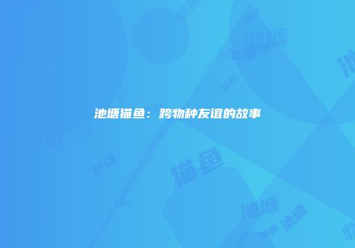 池塘猫鱼：跨物种友谊的故事