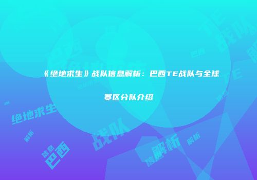 《绝地求生》战队信息解析：巴西TE战队与全球赛区分队介绍