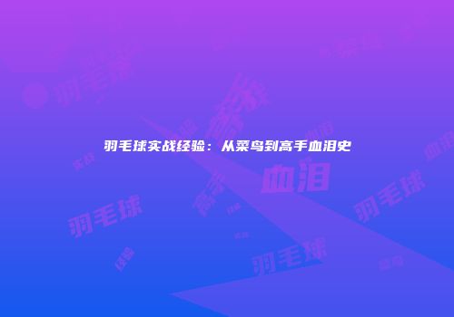 羽毛球实战经验：从菜鸟到高手血泪史