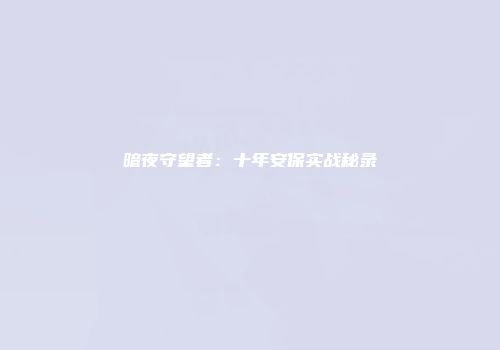 暗夜守望者：十年安保实战秘录