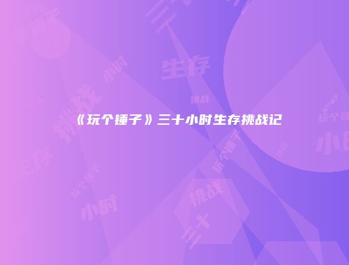 《玩个锤子》三十小时生存挑战记