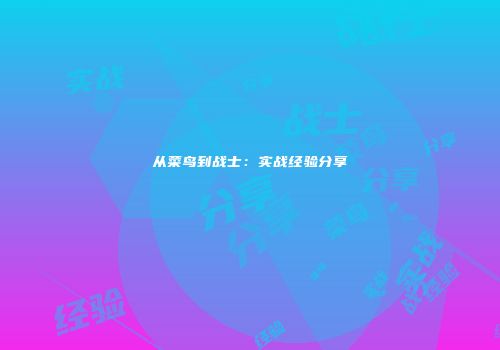 从菜鸟到战士：实战经验分享