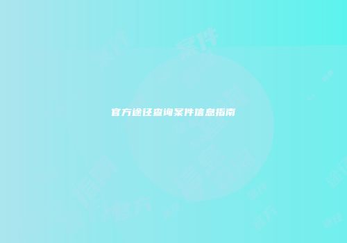 官方途径查询案件信息指南