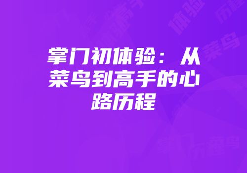掌门初体验：从菜鸟到高手的心路历程