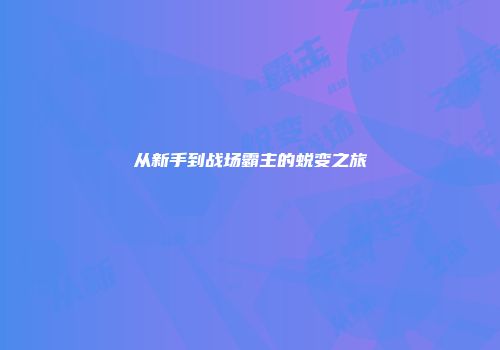 从新手到战场霸主的蜕变之旅