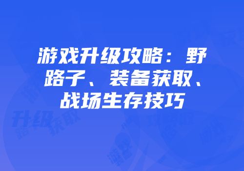游戏升级攻略：野路子、装备获取、战场生存技巧