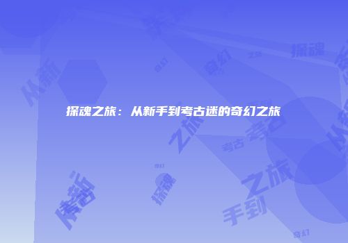 探魂之旅：从新手到考古迷的奇幻之旅