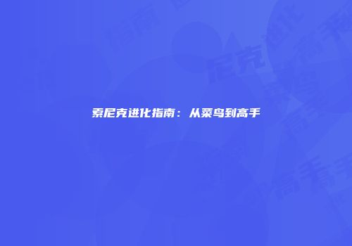 索尼克进化指南：从菜鸟到高手