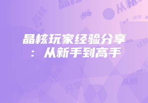 晶核玩家经验分享：从新手到高手