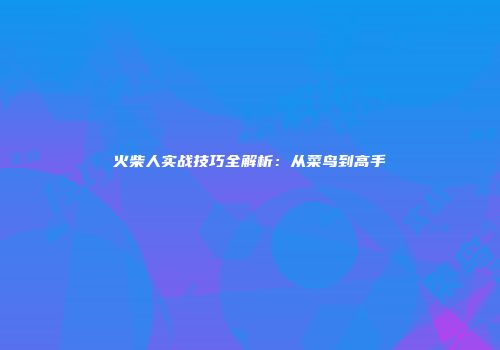 火柴人实战技巧全解析：从菜鸟到高手