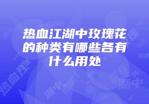 热血江湖中玫瑰花的种类有哪些各有什么用处