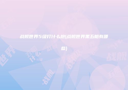 战舰世界5级打什么炮(战舰世界黑五船有哪些)
