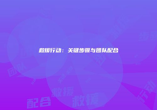 救援行动：关键步骤与团队配合