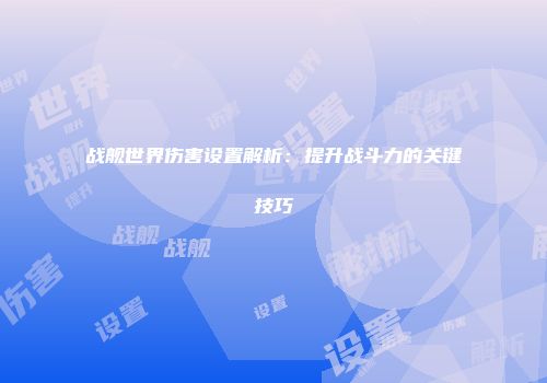 战舰世界伤害设置解析：提升战斗力的关键技巧