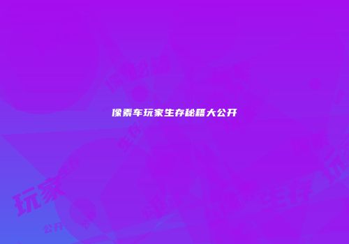 像素车玩家生存秘籍大公开