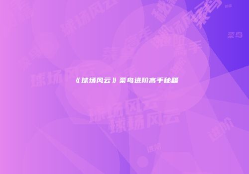 《球场风云》菜鸟进阶高手秘籍