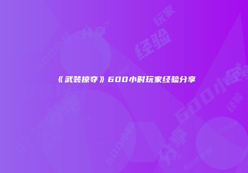 《武装掠夺》600小时玩家经验分享