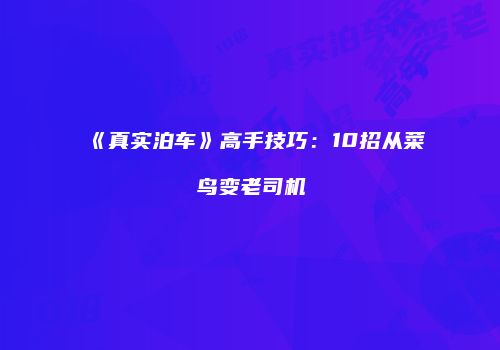 《真实泊车》高手技巧：10招从菜鸟变老司机