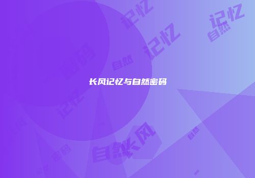 长风记忆与自然密码