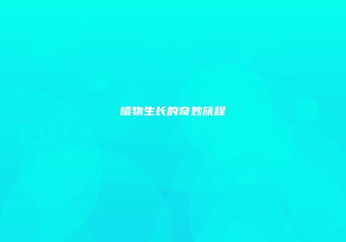 植物生长的奇妙旅程