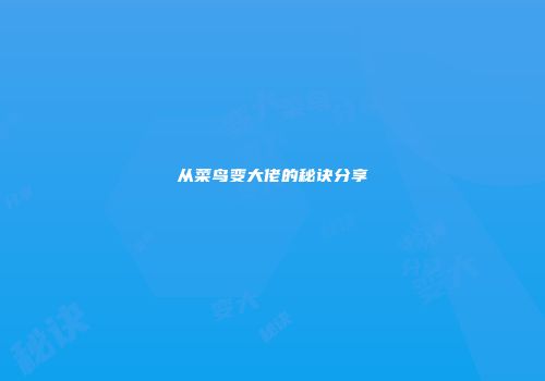 从菜鸟变大佬的秘诀分享