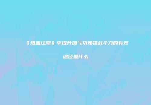 《热血江湖》中提升加气功宠物战斗力的有效途径是什么