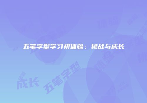 五笔字型学习初体验：挑战与成长