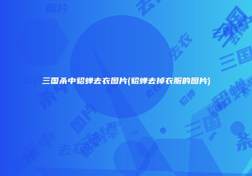 三国杀中貂蝉去衣图片(貂蝉去掉衣服的图片)