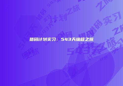 猎码计划实习：543天编程之旅