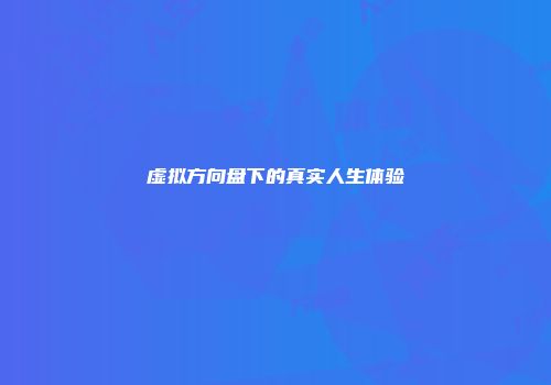 虚拟方向盘下的真实人生体验
