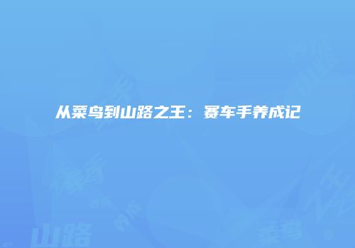 从菜鸟到山路之王：赛车手养成记